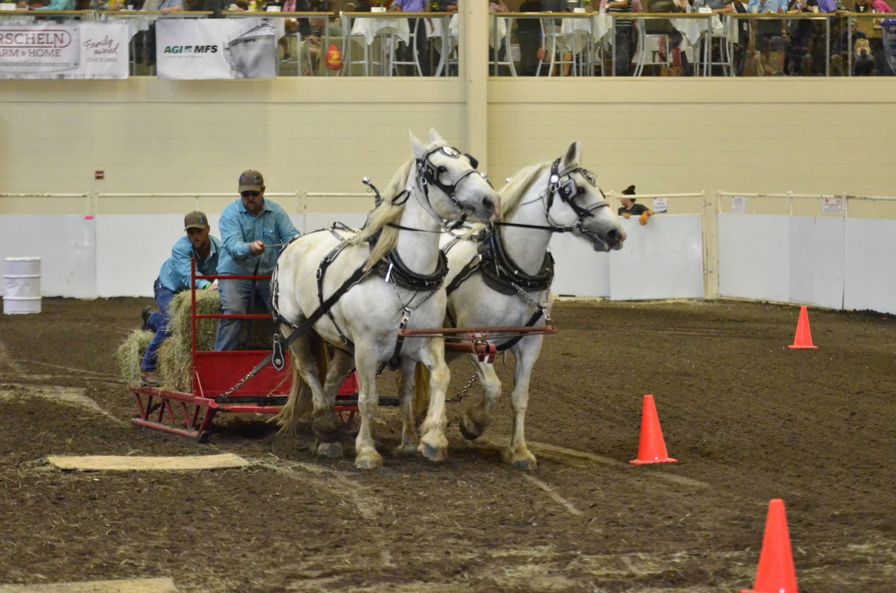 8-25-19 Draft Horse Hitch Final (16).JPG